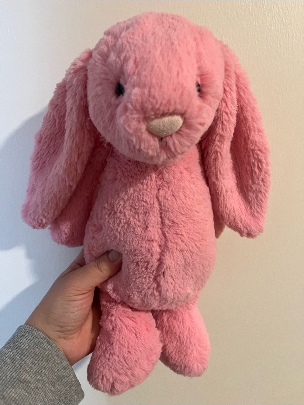 Jellycat sorbet bunny